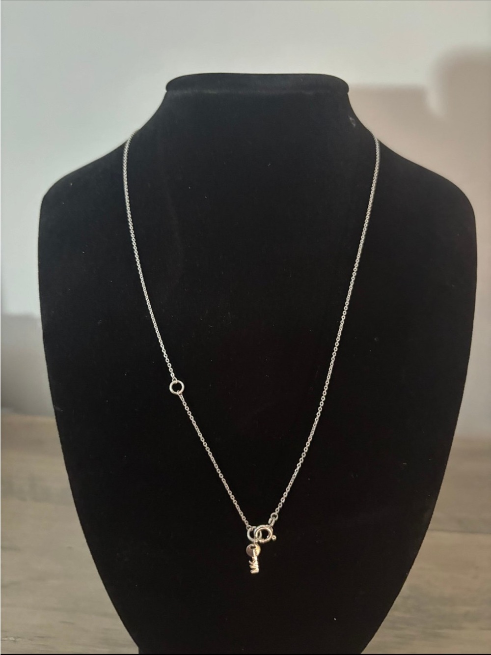 Michael Kors Women’s Silver Tone Starter Necklace